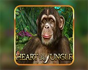 Heart of The Jungle